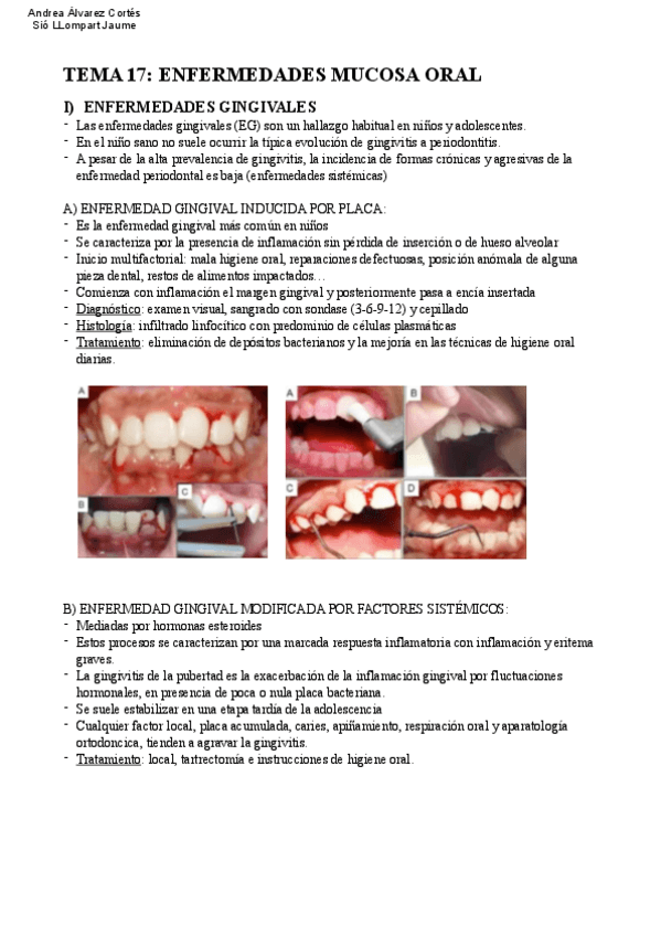Miniatura del documento Tema-17-COP.pdf