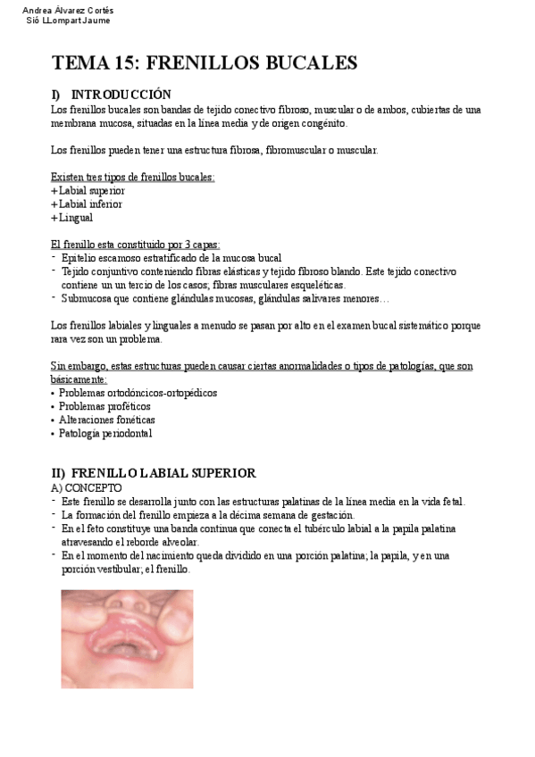 Miniatura del documento Tema-15-COP.pdf