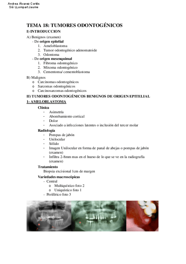Miniatura del documento Tema-18-COP.pdf