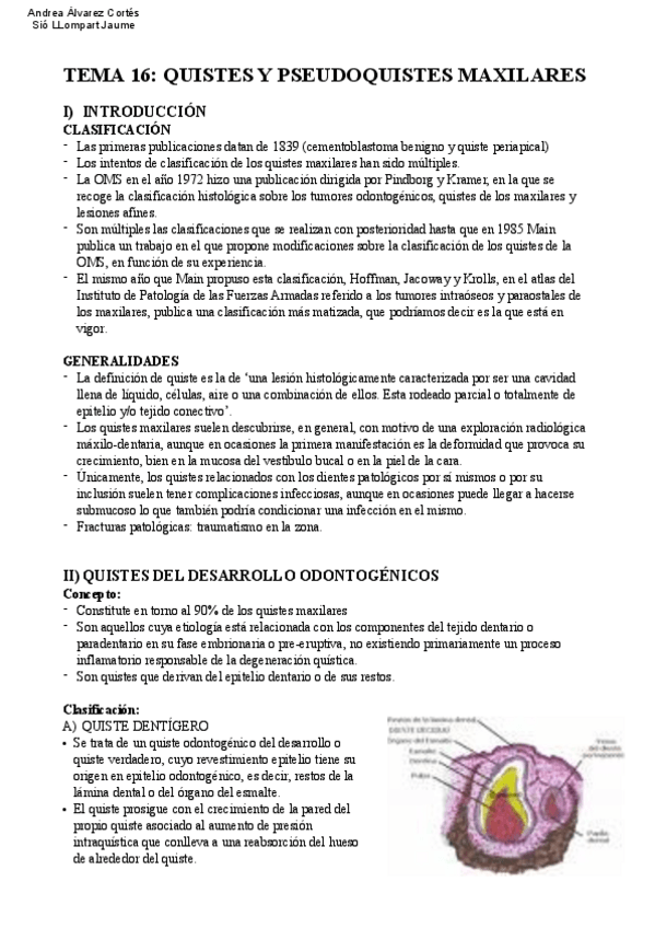 Miniatura del documento Tema-16-COP.pdf