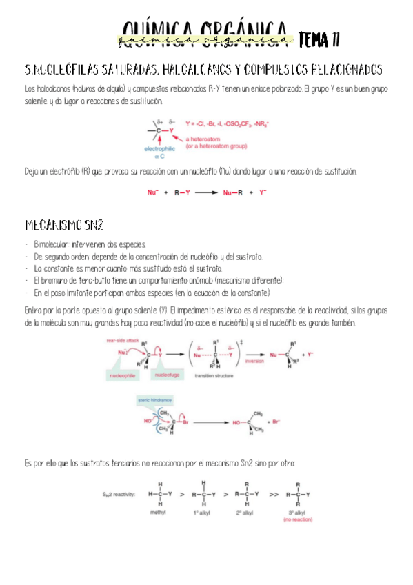 Miniatura del documento Tema-11.pdf