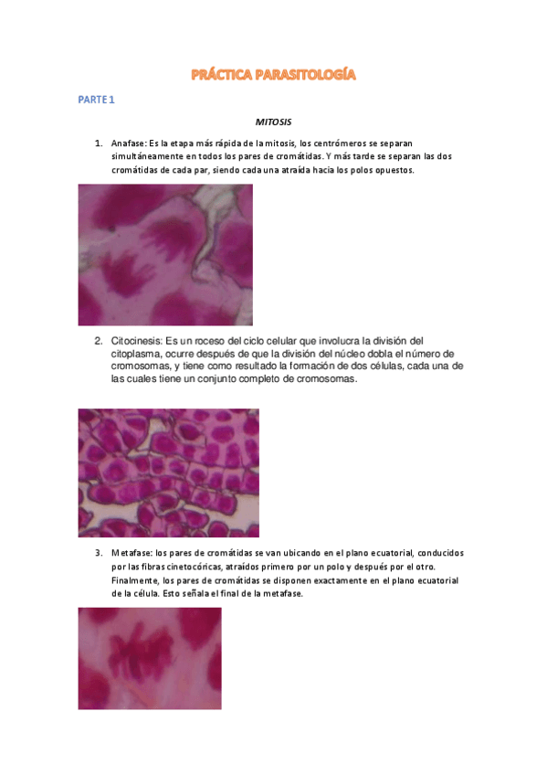 Miniatura del documento PRACTICA-PARASITOLOGIA.pdf