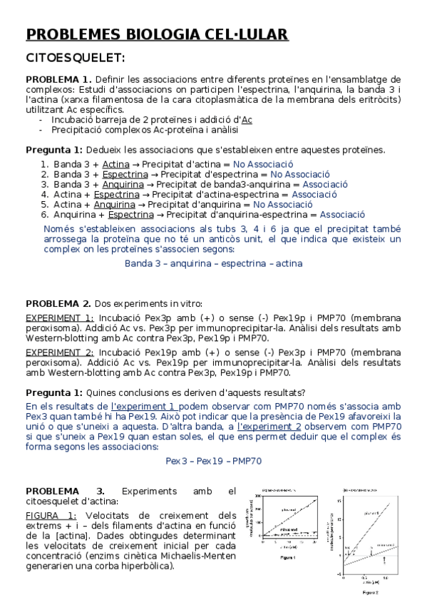 Miniatura del documento Problemes-Fets.docx