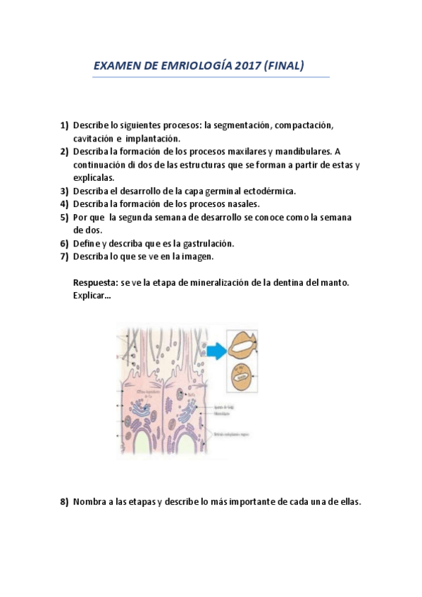 Miniatura del documento Examen Embriología final.pdf