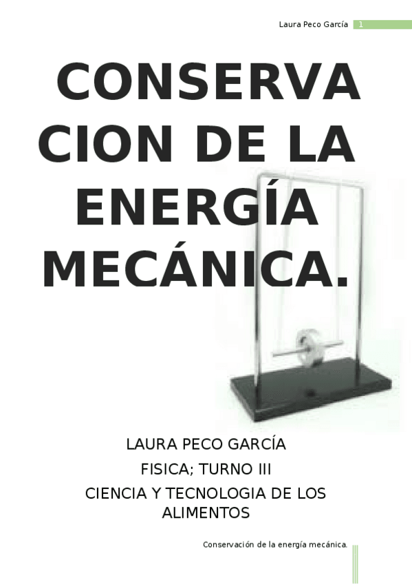 Miniatura del documento memoria-1-LAURA-PECO-GARCIA.docx