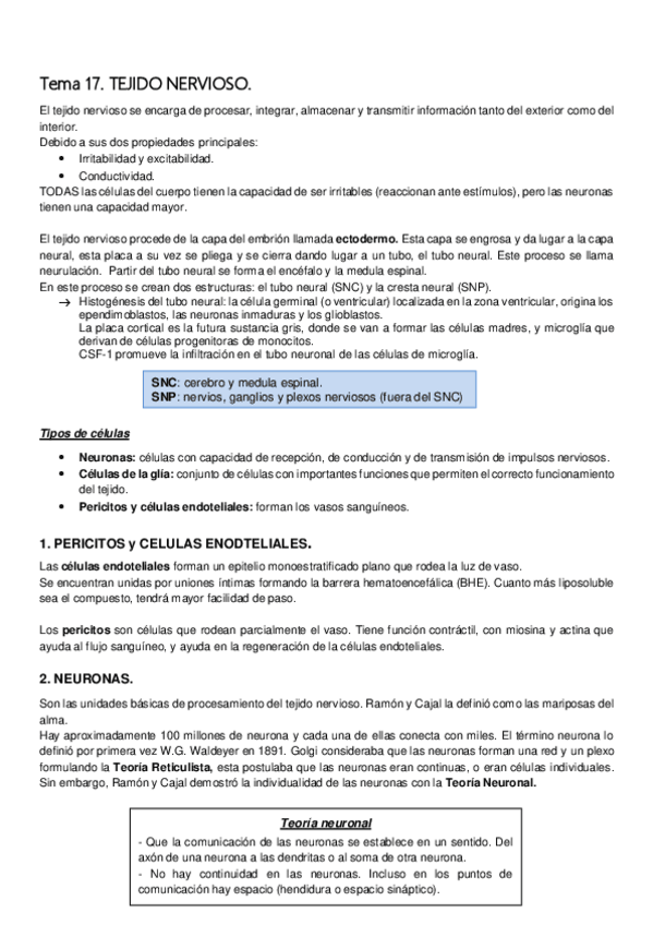 Miniatura del documento T17-Tejido-Nervioso.pdf