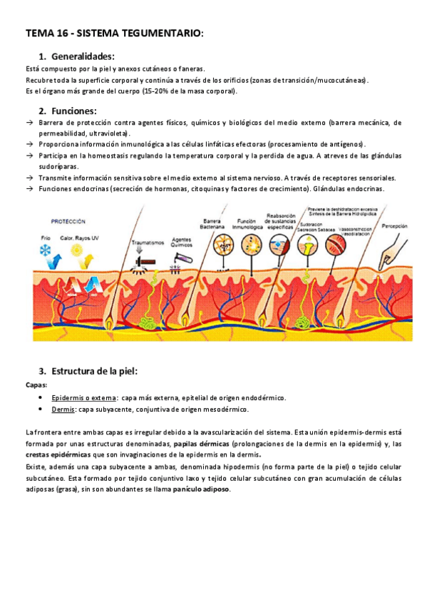 Miniatura del documento Tema-16-S.pdf