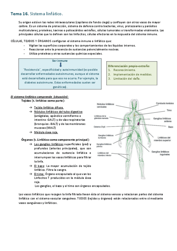 Miniatura del documento Tema-S.pdf