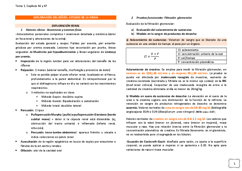 Miniatura del documento EXPLORACION-DEL-RINON-tema-1.pdf