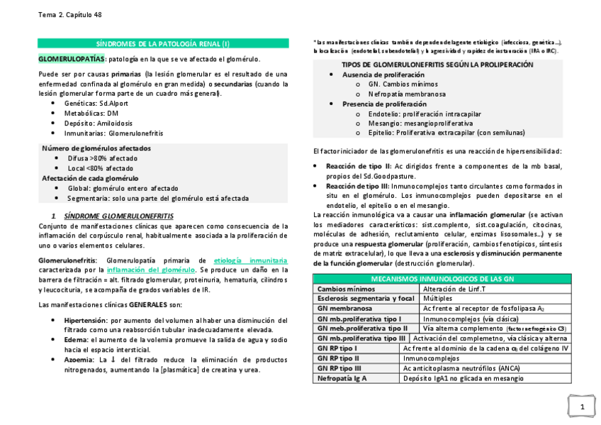 Miniatura del documento SINDROMES-DE-LA-PATOLOGIA-RENAL.pdf