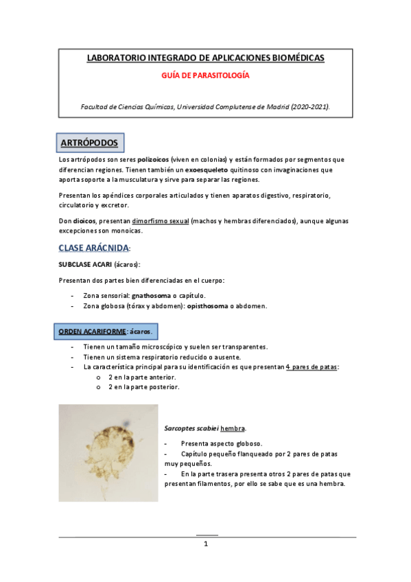 Miniatura del documento INFORME-PARASITOLOGIA.pdf
