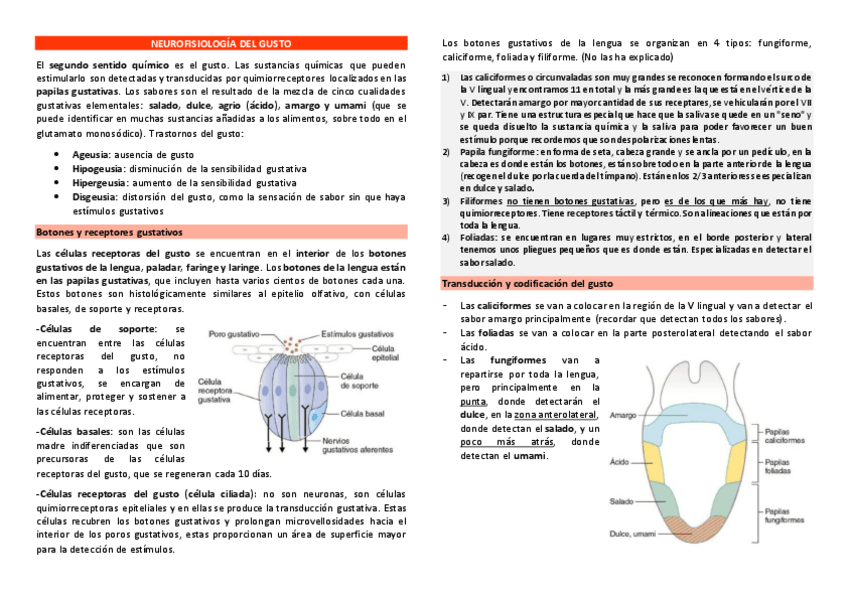 Miniatura del documento Neurofisilogia-del-gusto.pdf