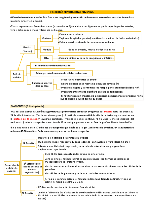 Miniatura del documento FISIOLOGIA-REPRODUCTIVA-FEMENINA-esquemas.pdf