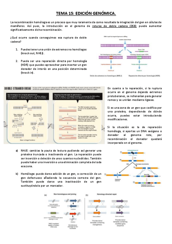 Miniatura del documento Tema 15.pdf