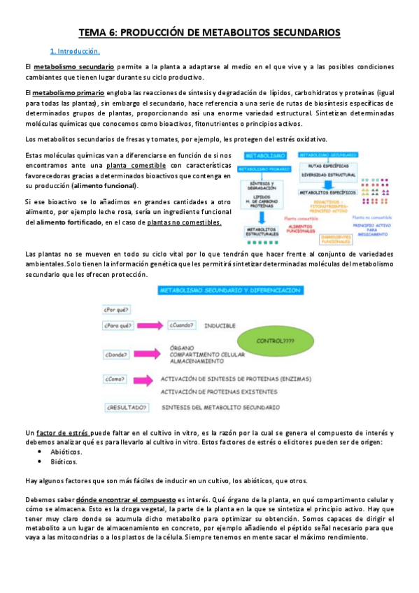 Miniatura del documento Tema 6.pdf