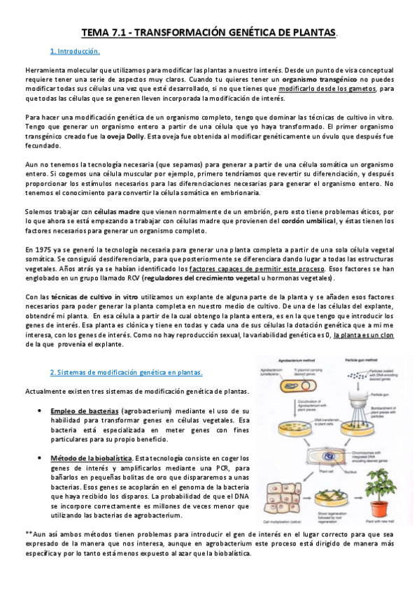 Miniatura del documento Tema 7.pdf