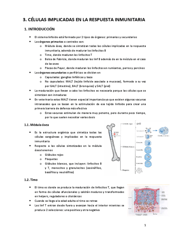 Miniatura del documento 3.