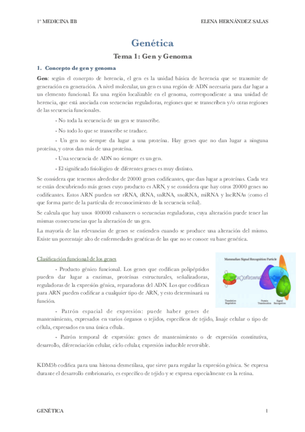 Miniatura del documento Genética.pdf