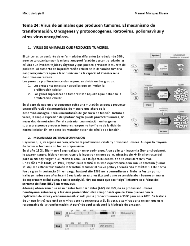 Miniatura del documento Tema 24.pdf