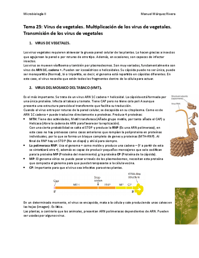 Miniatura del documento Tema 25.pdf