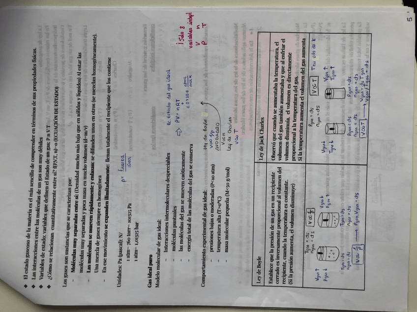 Miniatura del documento 65E96294-75DD-4D9E-B4CC-30CD356178A0.jpg