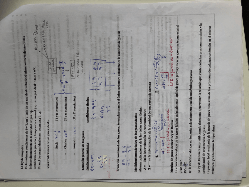 Miniatura del documento 52D7DA29-0EE6-435D-BEF1-6E781E58B33E.jpg