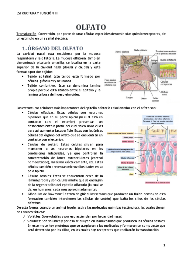 Miniatura del documento T5.pdf