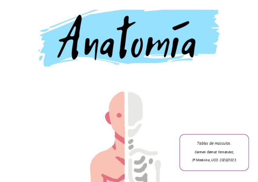 Miniatura del documento MUSCULOS.pdf
