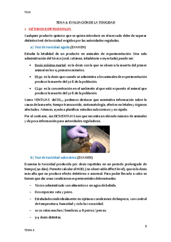 Miniatura del documento Tema-6.pdf