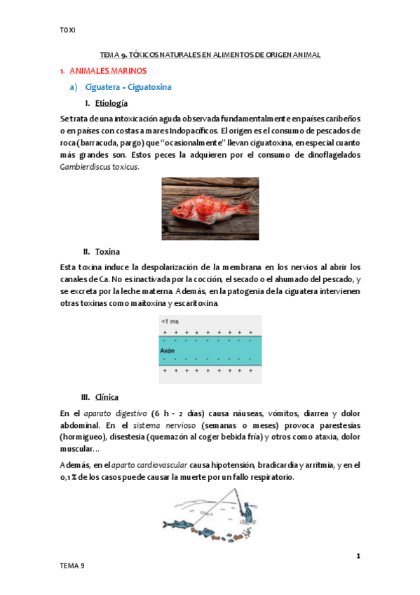 Miniatura del documento Tema-9.pdf