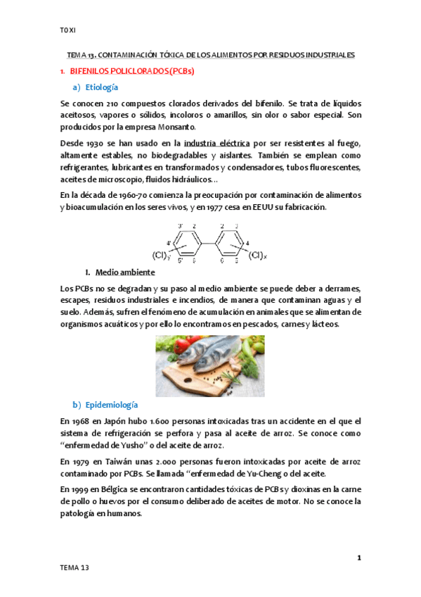 Miniatura del documento Tema-13.pdf