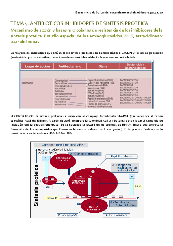 Miniatura del documento TEMA-5.pdf