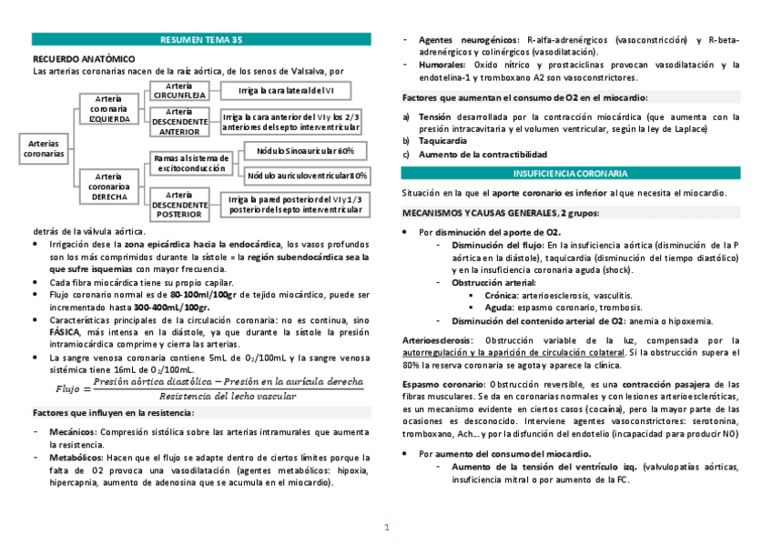 Miniatura del documento RESUMEN-TEMA-35-ISQUEMIA.pdf