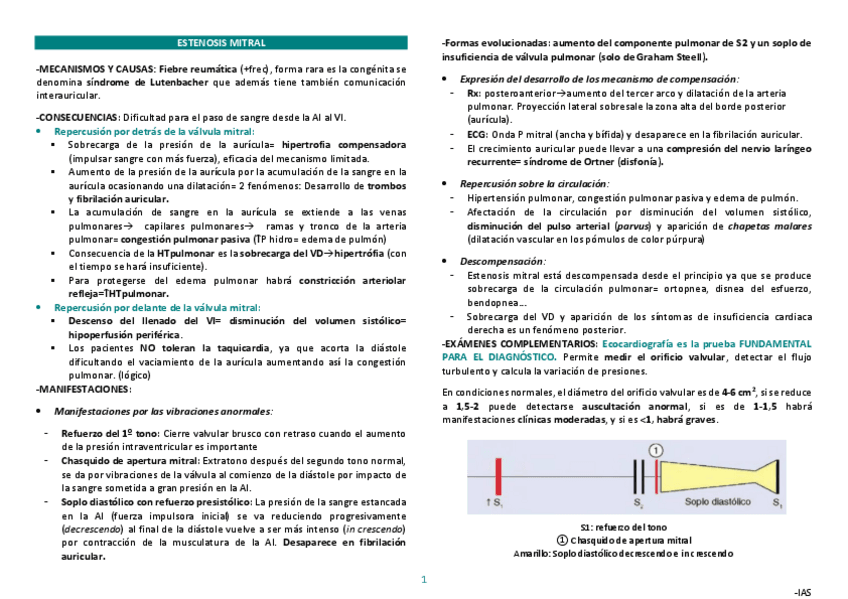 Miniatura del documento VALVULOPATIAS-resumen.pdf