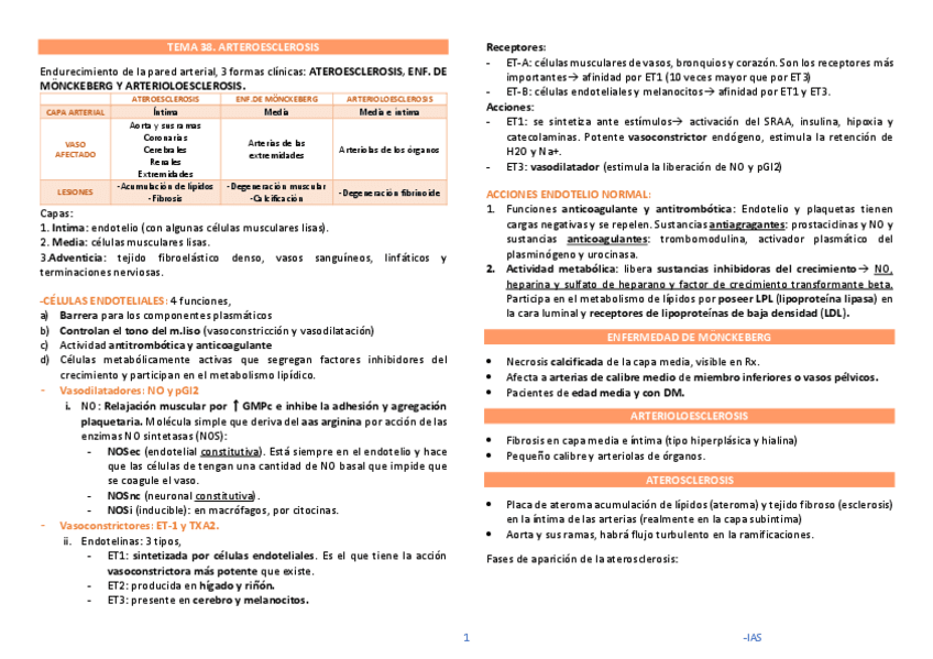 Miniatura del documento TEMA-38-ATEROLOESCLEROSIS.pdf