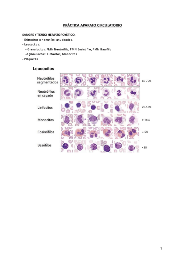 Miniatura del documento practica-ap.pdf