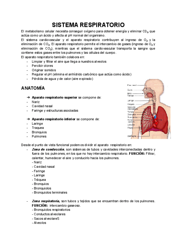 Miniatura del documento 2.pdf
