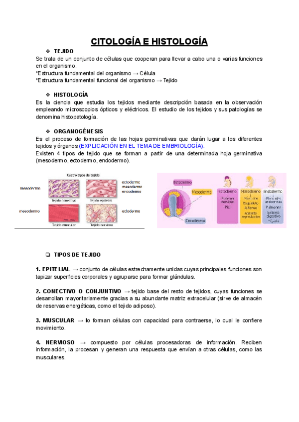 Miniatura del documento U2-T.pdf