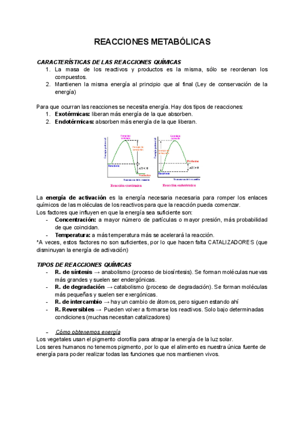 Miniatura del documento 3.pdf