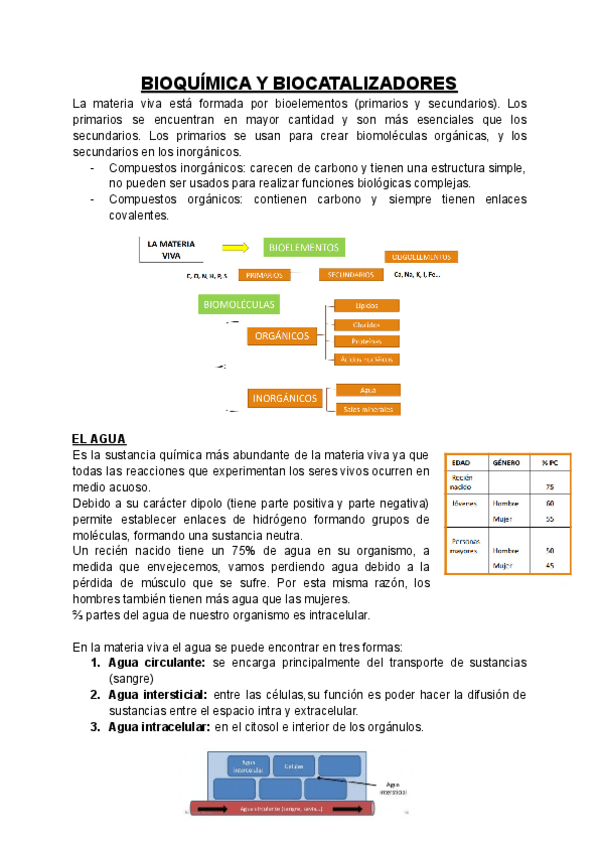 Miniatura del documento 1.pdf
