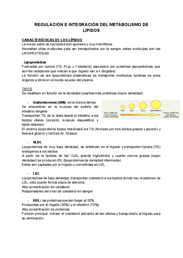 Miniatura del documento 4.pdf