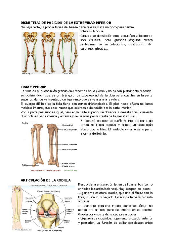 Miniatura del documento 4.pdf
