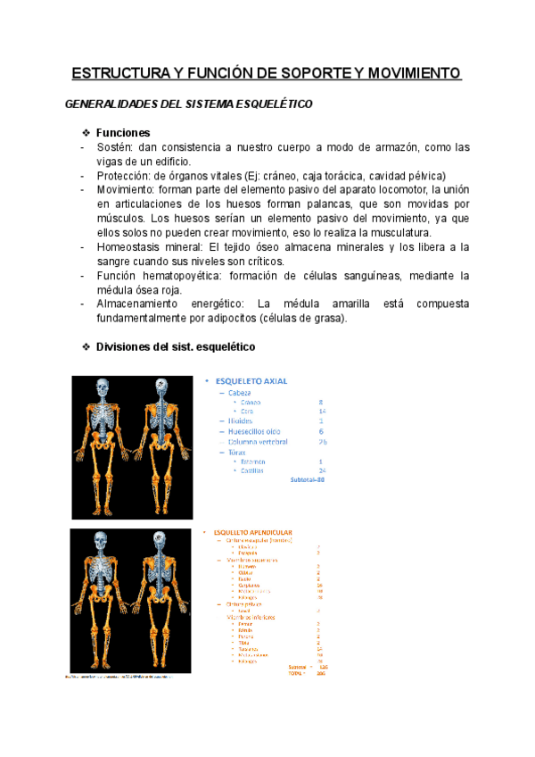 Miniatura del documento 1.pdf