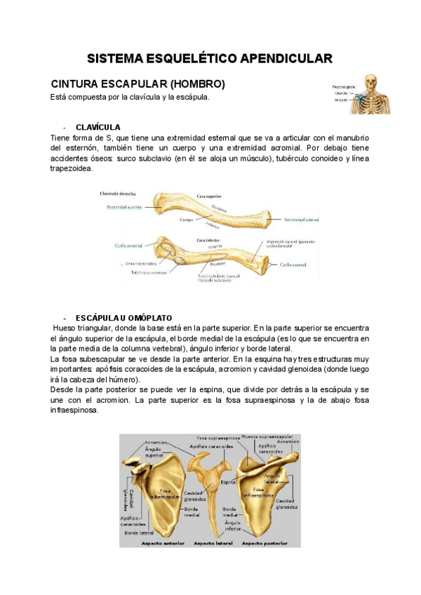 Miniatura del documento 4.pdf