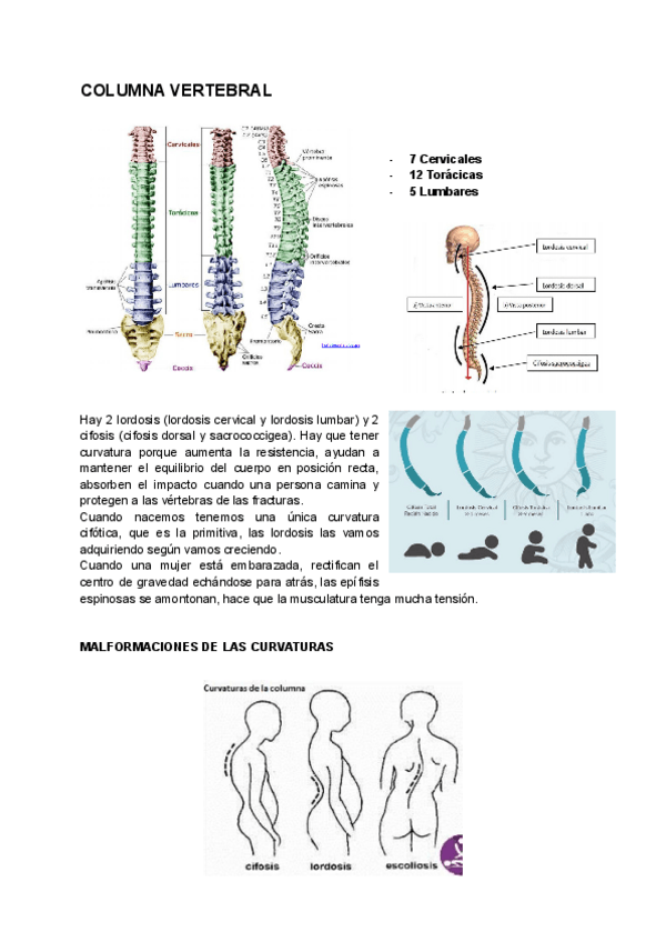 Miniatura del documento 3.pdf
