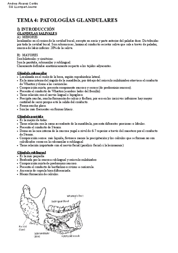 Miniatura del documento Tema-4-Medicas-II.pdf