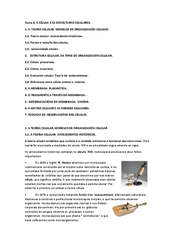 Miniatura del documento TEMA-6.pdf