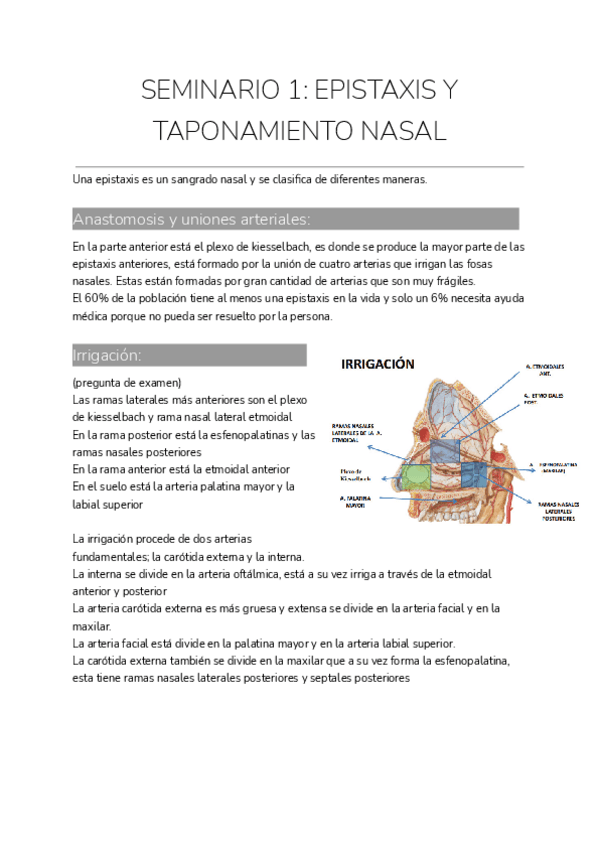 Miniatura del documento SEMINARIO-1-EPISTAXIS-Y-TAPONAMIENTO-NASAL.pdf