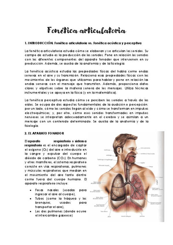 Miniatura del documento Tema-2-Fonetica-articulatoria.pdf