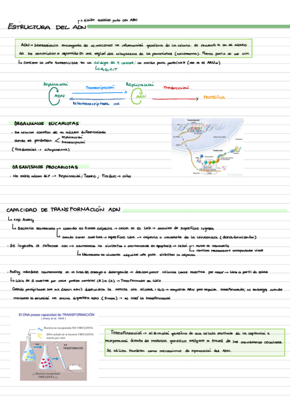 Miniatura del documento 1R.pdf